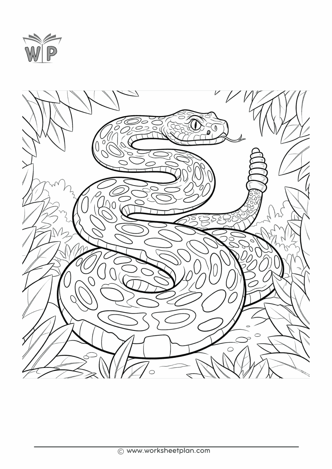 Snakes Coloring Pages » Worksheet Plan