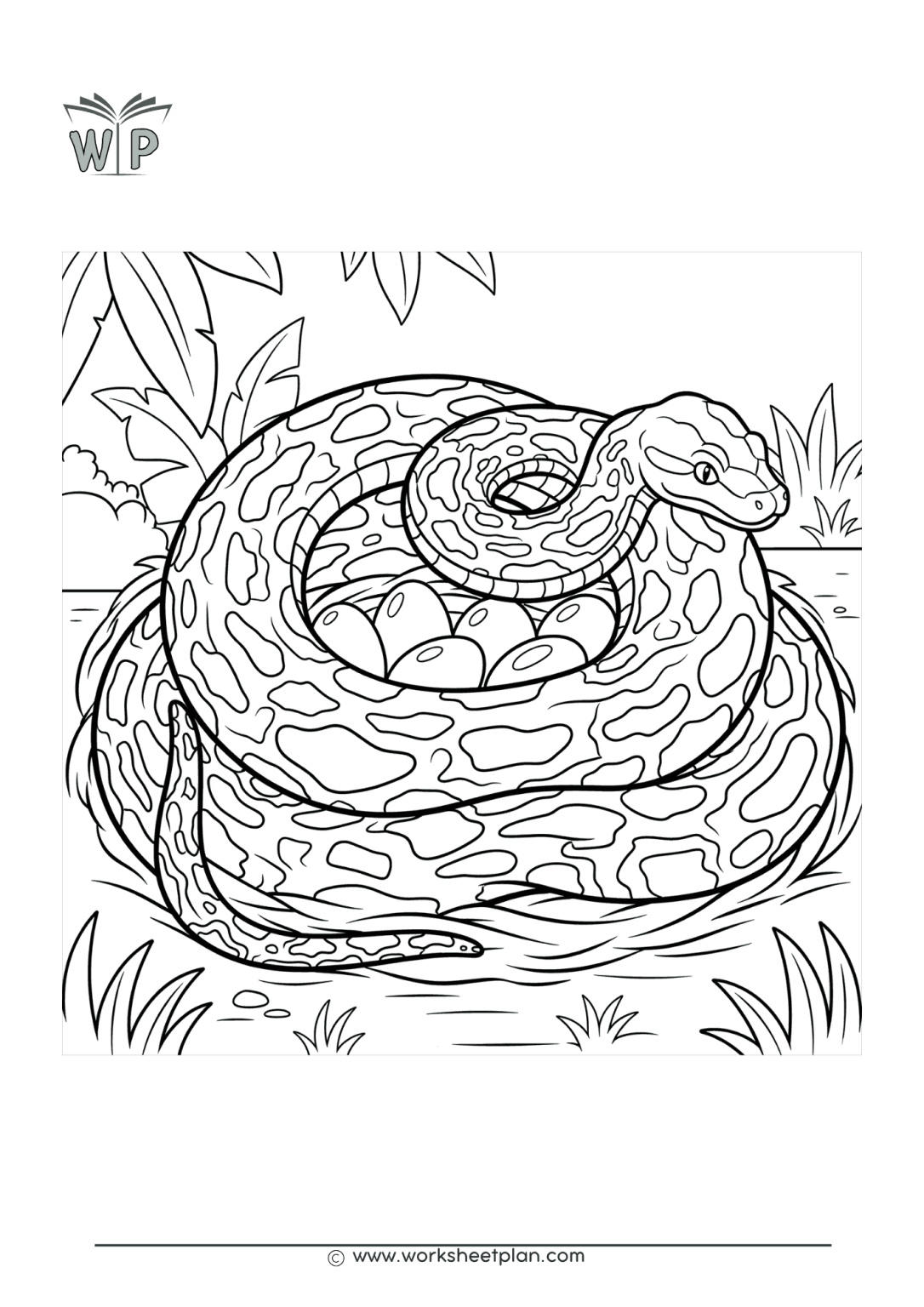 Snakes Coloring Pages » Worksheet Plan
