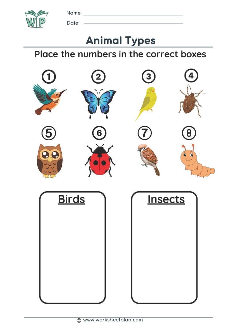 Identify Animals » Worksheet Plan