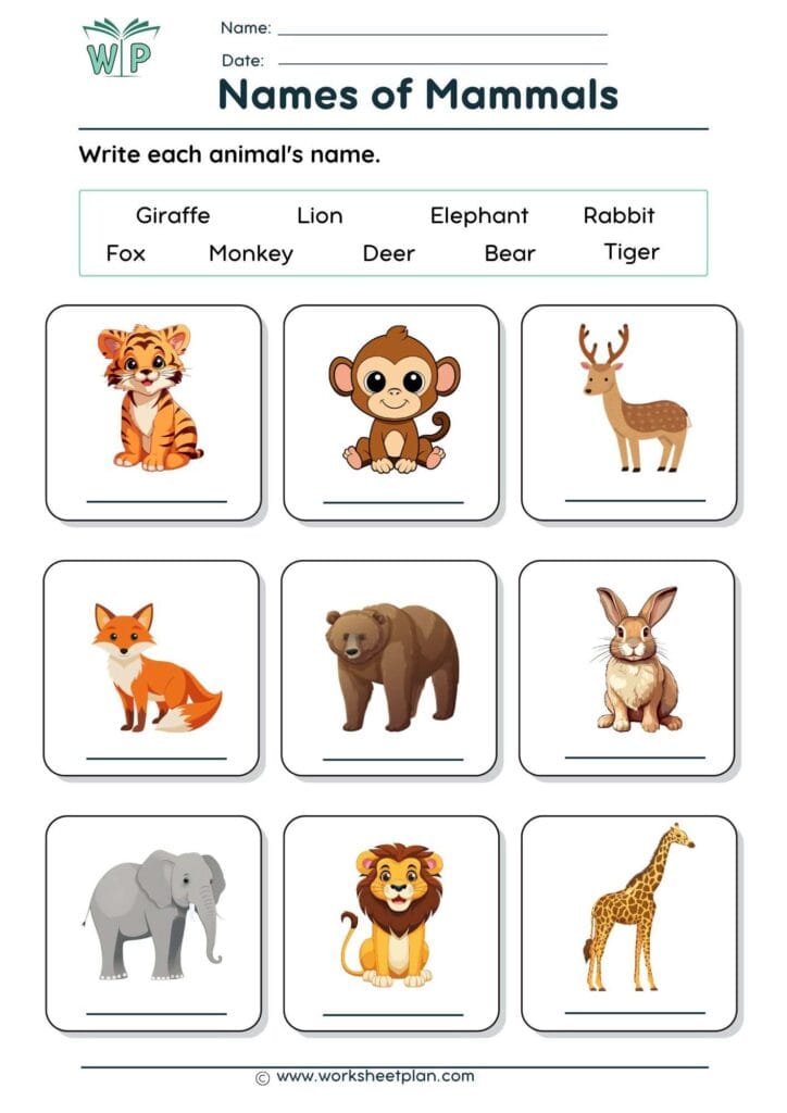 Animal Names Worksheets