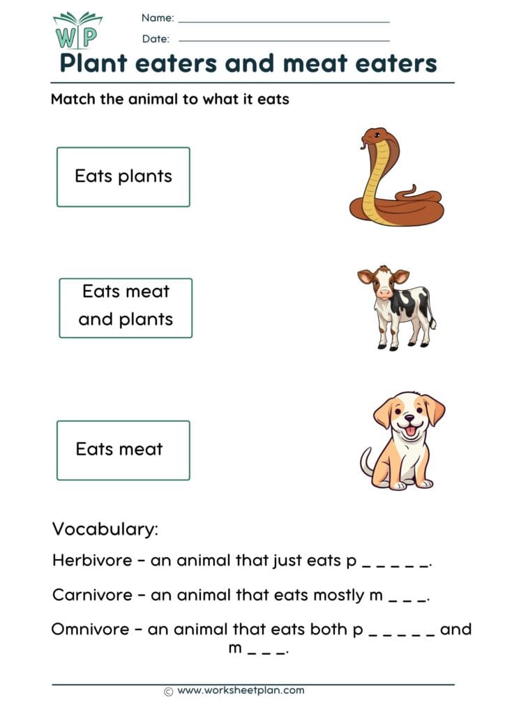 Plant eaters & meat eaters Worksheets