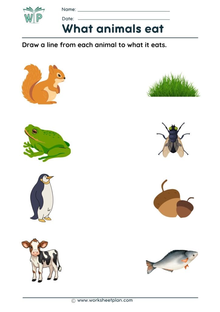 What animals eat Worksheets